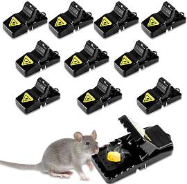 10 Stück Mausefalle, Schlagfalle Rattenfalle aus