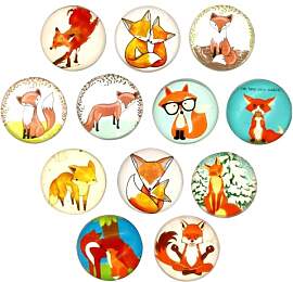 12 Stück Fuchs Magnete Kühlschrank, Magnete