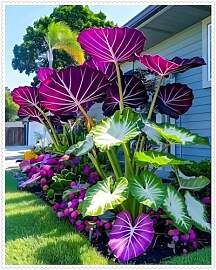 2025 Winterhart pflanzen, Blumenzwiebel Mix,