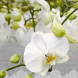 20 Lunch Servietten  Orchidee Festival