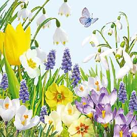 20 Servietten Frühling Schmetterlinge Blumen 33cm