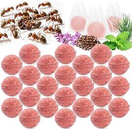 24 Stück Pfefferminze Öl für