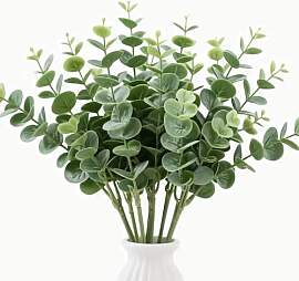 30 Eukalyptus Pflanze Die Mit Künstlichen
