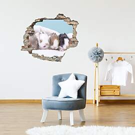 3D-Wandtattoo QUEENCE "Hasenbabies",