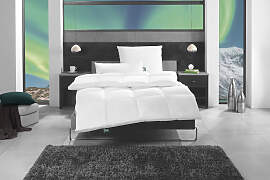 3-Kammer-Kopfkissen FAN "f.a.n. Island", 