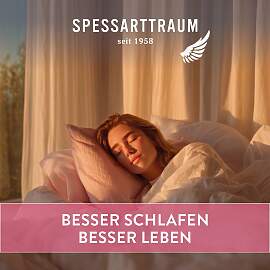 3-Kammer-Kopfkissen SPESSARTTRAUM "Arosa