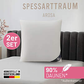 3-Kammer-Kopfkissen SPESSARTTRAUM "Arosa