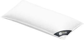 3-Kammer-Kopfkissen SPESSARTTRAUM "Mein