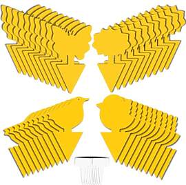 40x Fruchtfliegenfalle & Obstfliegenfalle + 20 