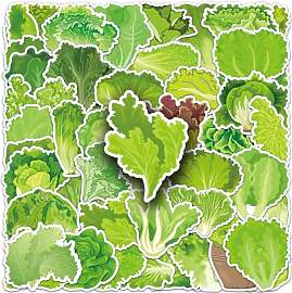 50Stück Lettuce Aufkleber für
