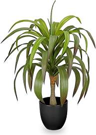 56cm Kunstpflanzen Yucca-Bonsai Groß Kunstpflanze 