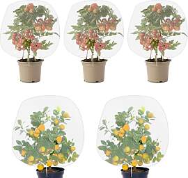 5 Stück Obstbaum Netz für Kirschbaum (80CM*80CM) 