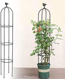 6 Fuß hohes Gartenspalier für Kletterpflanzen