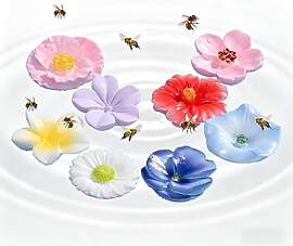 8 Stück Bienens Trinkbecher,