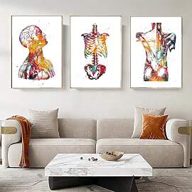 Abstrakt Medizin Anatomie Leinwandbilder Poster,