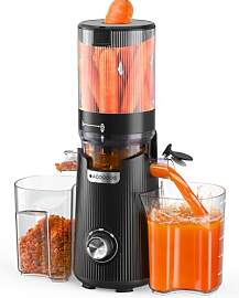 ACOQOOS Entsafter für Ganze Gemüse und Obst