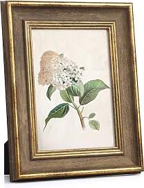 Afuly 13x18 Bilderrahmen Vintage Holz in Gold