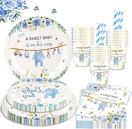 Aitsite Gender Reveal Party Deko Geschirr Set für 