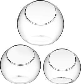 Alipis 3 Stück Glas-Terrarium-Pflanzenhalter