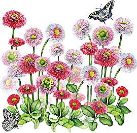 Ambiente Serviette "Pink Bellis" 5 oder
