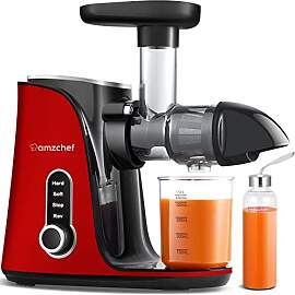 AMZCHEF Entsafter Gemüse und Obst mit 2
