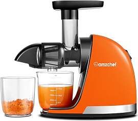 AMZCHEF Entsafter Gemüse und Obst Testsieger -