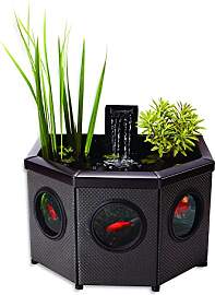 Aquagarden Raised Window Pond Halfmoon Mocha|