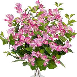 Arborus 2 STK Bougainvillea Blumenstrauß