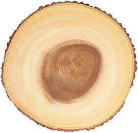 Artesà Käsebrett aus Holz, Servierplatte für