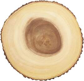 Artesà Käsebrett aus Holz, Servierplatte für