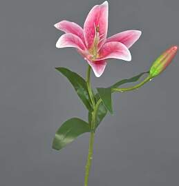 artplants.de Künstliche Tigerlilie MIXLON, rosa,