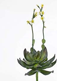 artplants.de Kunstpflanze Aeonium auf Steckstab,