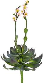 artplants.de Kunstpflanze Aeonium auf Steckstab,