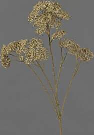 artplants.de Kunststoff Schafgarbe Ortega, beige,