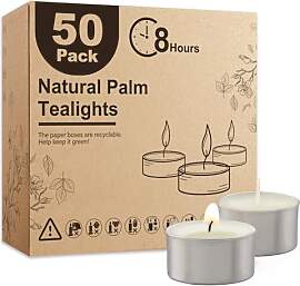 Ashlux Palmwachs Teelichter, 50 Stück weiß, 8-9