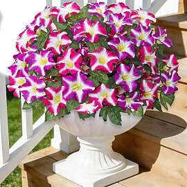 ASTNIC 4 Bündel 52 cm Morning Glory Kunstblumen
