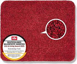 Astra Schmutzfangmatte innen waschbar 60x75 cm – 