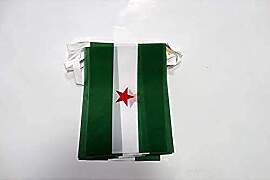 AZ FLAG - Fahnenkette Andalusien Arbonaida 6 Meter 