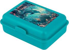 Baagl Brotdose Kinder für Schule – Lunchbox