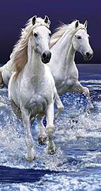 Badetuch Strandtuch Duschtuch "Weiße Pferde