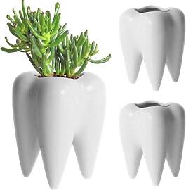 BAIFULAI Keramik Zahn-Form Blumentopf, Zähne