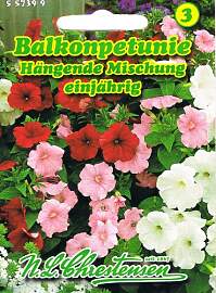 Balkonpetunie 'hängende Mischung' ,
