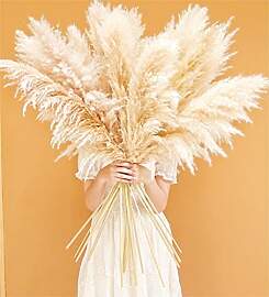 Bannifll 10 Stück Pampas Grass XXL - Groß Deko