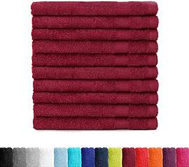 BaSaTex Frottee Gästehandtücher 30x50 im 10er