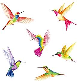 BASHOM DS2-4002 Kolibri Wandtattoo Vögel