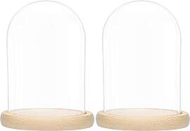 BELLE VOUS Glasglocke mit Holzboden - 20cm hohe