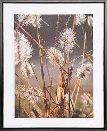 Bild mit Rahmen CREATIV HOME "Leinwandbild