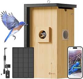 Birdfy Vogelhaus mit Kamera,Nistkasten mit Kamera, 
