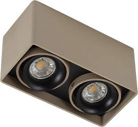 Bjorn 2 Deckenstrahler Champagne