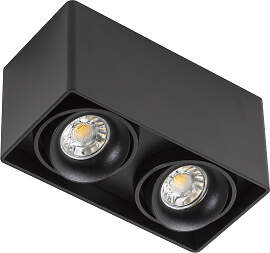 Bjorn 2 Deckenstrahler Schwarz